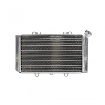 Radiator aftermarket - 4Ride - Yamaha YFM 660 Grizzly (2002-2008) Radiator aftermarket - 4Ride - Yamaha YFM 660 Grizzly (2002-2008)