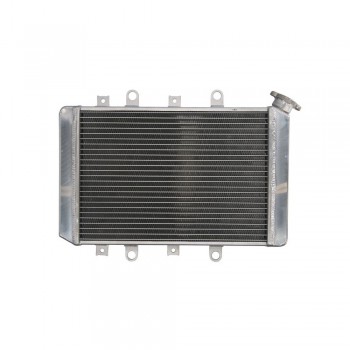 Radiator aftermarket - 4Ride - Yamaha YFM 550/700 Grizzly (2007-2014) Radiator aftermarket - 4Ride - Yamaha YFM 550/700 Grizzly (2007-2014)