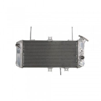 Radiator aftermarket - 4Ride - Suzuki SV 650 (2005-2010) Radiator aftermarket - 4Ride - Suzuki SV 650 (2005-2010)