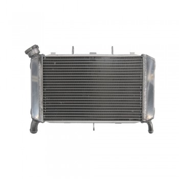 Radiator aftermarket - 4Ride - Yamaha FZ6 (2007-2009) Radiator aftermarket - 4Ride - Yamaha FZ6 (2007-2009)