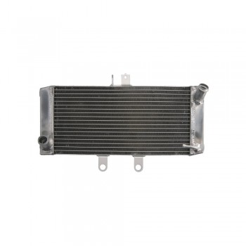 Radiator aftermarket - 4Ride - Suzuki GSF 650 Bandit (2007-2013) Radiator aftermarket - 4Ride - Suzuki GSF 650 Bandit (2007-2013)