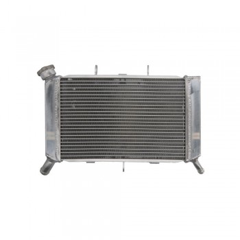Radiator aftermarket - 4Ride - Yamaha XJ6 (2009-2016) Radiator aftermarket - 4Ride - Yamaha XJ6 (2009-2016)