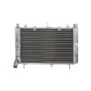 Radiator aftermarket - 4Ride - Yamaha FZS 1000 (2001-2005)
