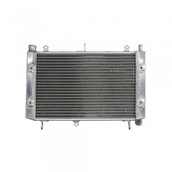 Radiator aftermarket - 4Ride - Yamaha FZS 1000 (2001-2005) Radiator aftermarket - 4Ride - Yamaha FZS 1000 (2001-2005)