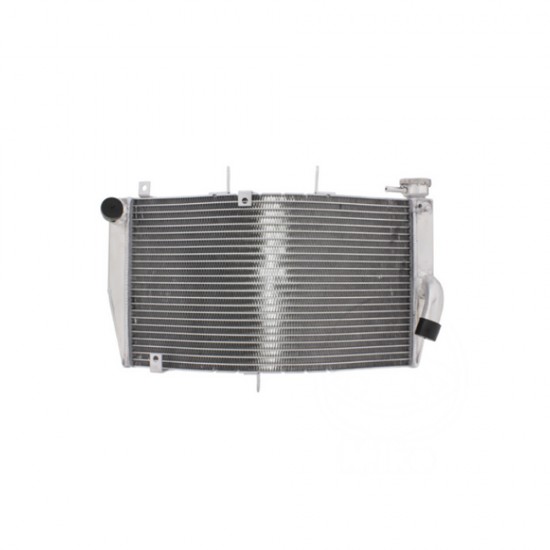 Radiator aftermarket - JMP - Honda CBR 600 RR (2003-2006) Radiator aftermarket - JMP - Honda CBR 600 RR (2003-2006)