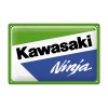 Placă metalică decor 30 x 20 - Kawasaki Ninja Placă metalică decor 30 x 20 - Kawasaki Ninja