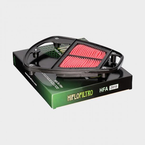 HIFLO - Filtru aer HFA2919 HIFLO - Filtru aer HFA2919