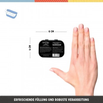 Cutie metalică de buzunar - Triumph Logo Argintiu