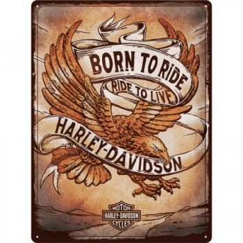 Placă 30 x 40 - Harley Davidson - Born To Ride Eagle - Nascut pentru Drum Placă 30 x 40 - Harley Davidson - Born To Ride Eagle - Nascut pentru Drum