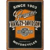 Placă Decor 30 x 40 - Harley Davidson Motociclete Autentice