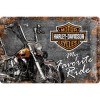 Placă metalică 20 x 30 - Harley-Davidson - My Favorite Ride - Motocicleta Mea Preferata