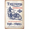 Placă metalică 20 x 30 - Triumph For The Thrill - Triumph - pentru Amatori de Senzatii Tari